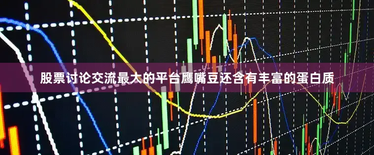 股票讨论交流最大的平台鹰嘴豆还含有丰富的蛋白质