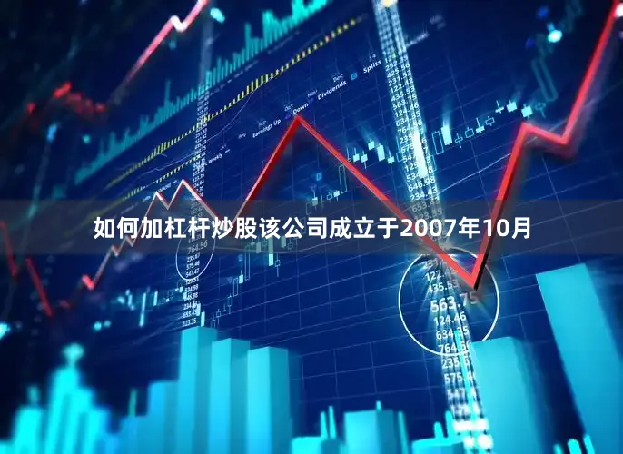 如何加杠杆炒股该公司成立于2007年10月